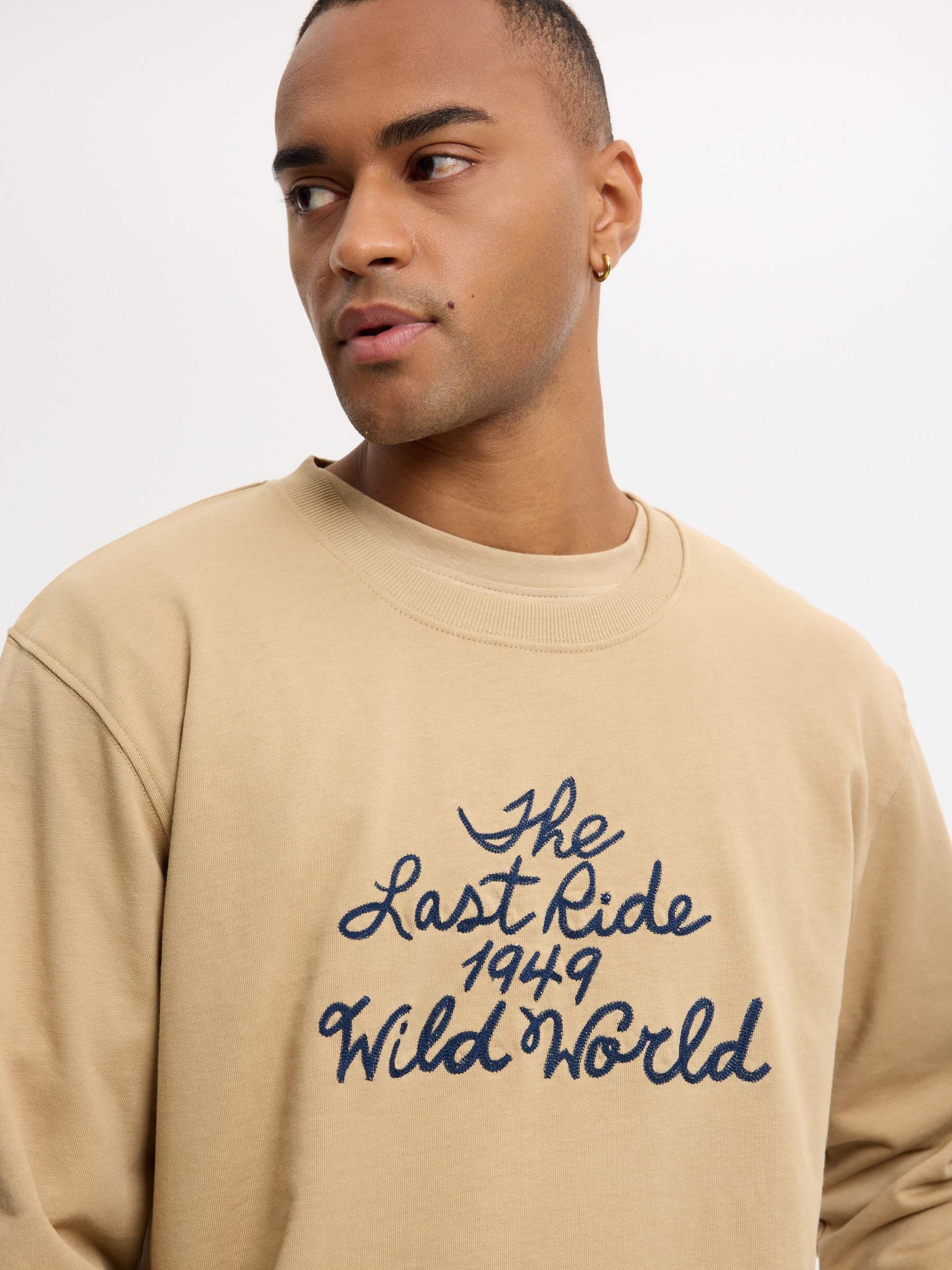 Sudadera texto bordado oversize beige vista media frontal