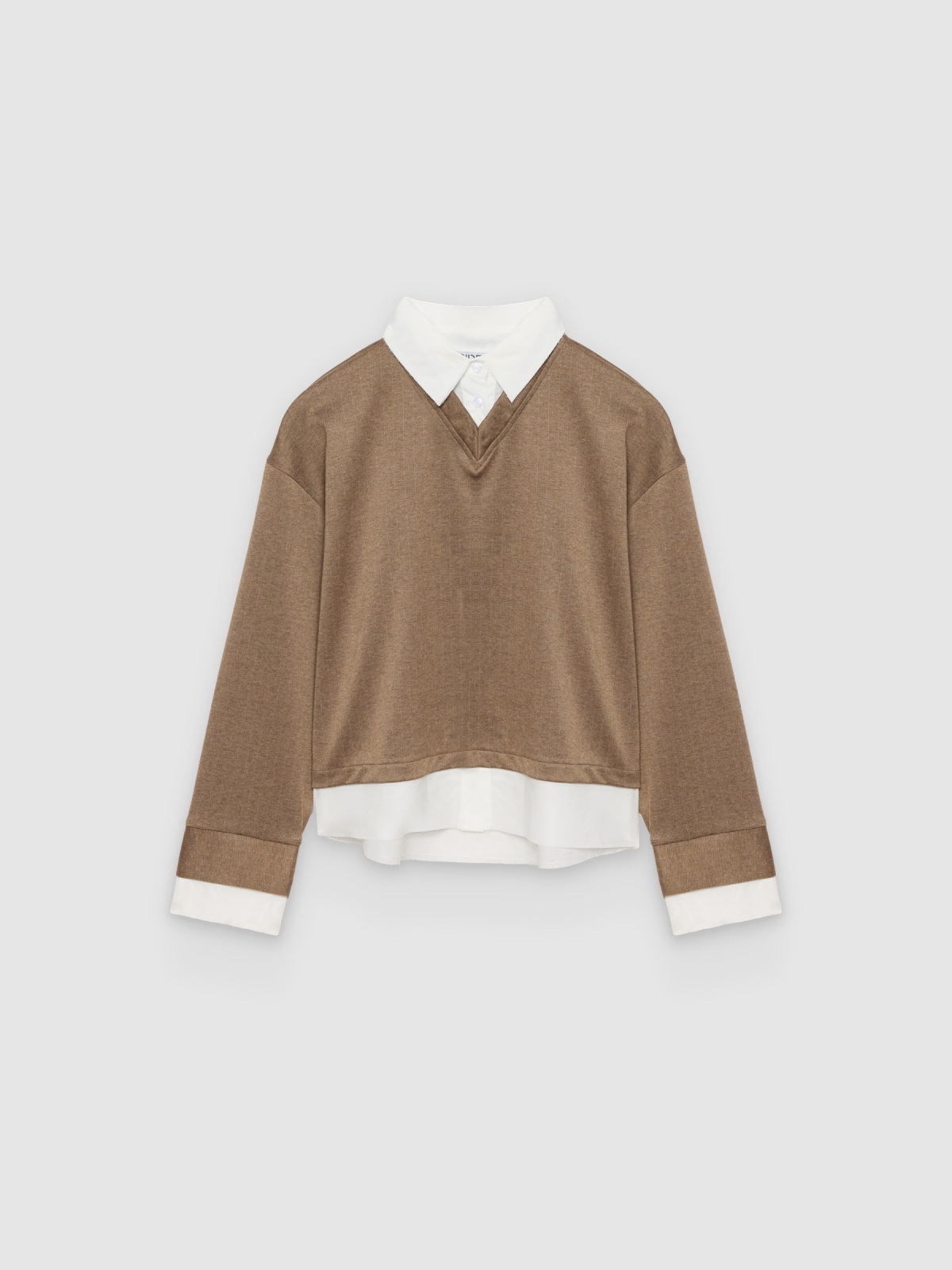 %Pto% Striped T-shirt with shirt collar and long sleeves taupe front view