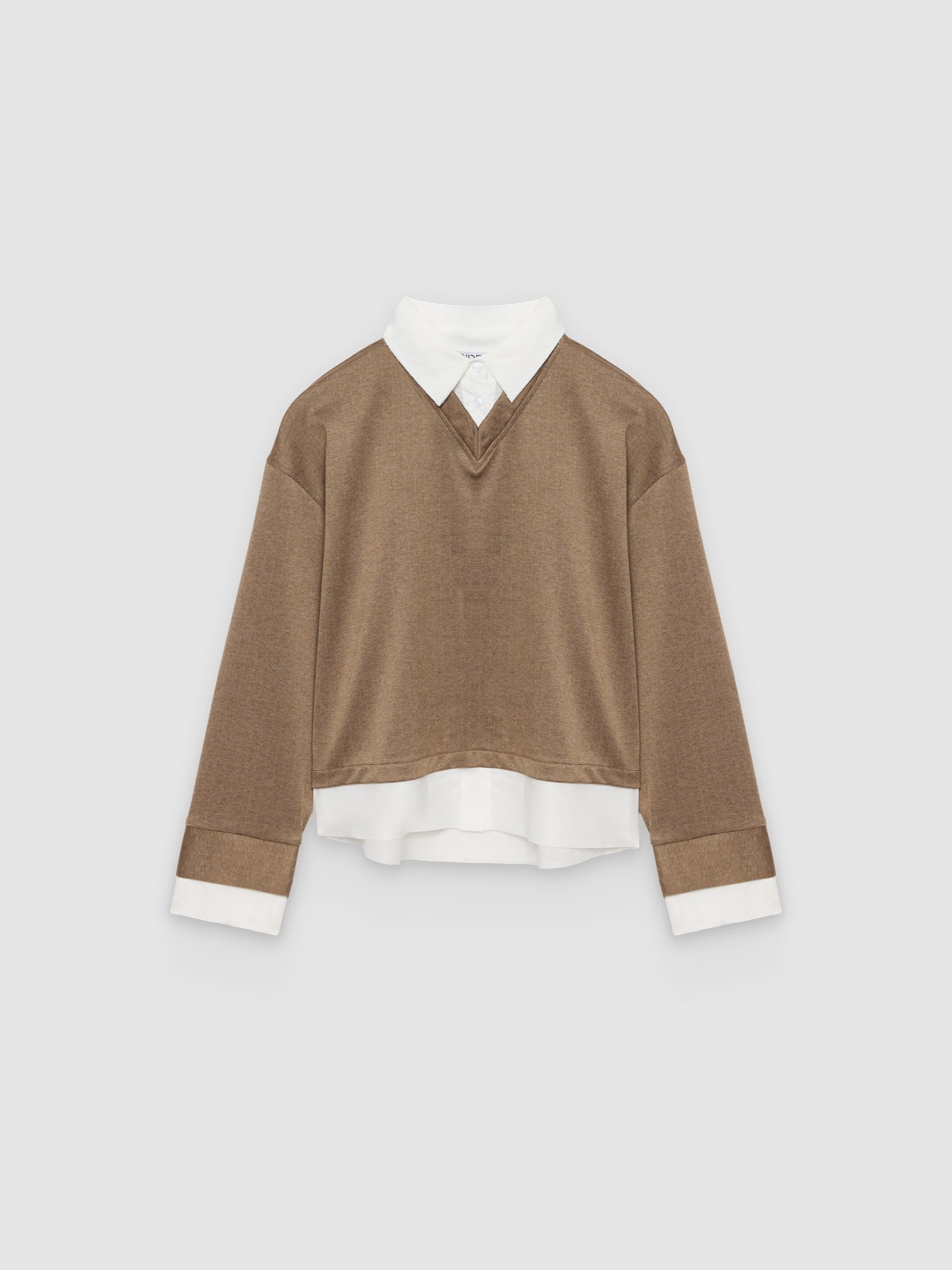 %Pto% Striped T-shirt with shirt collar and long sleeves taupe front view