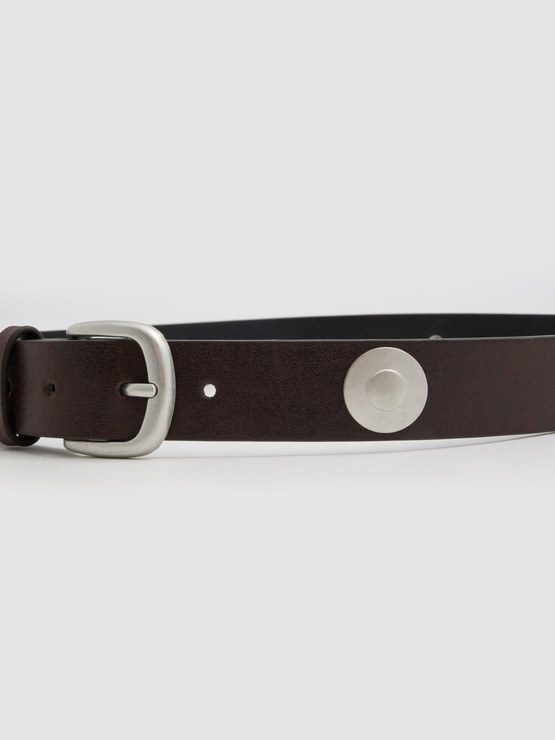 Basic rivet belt brown