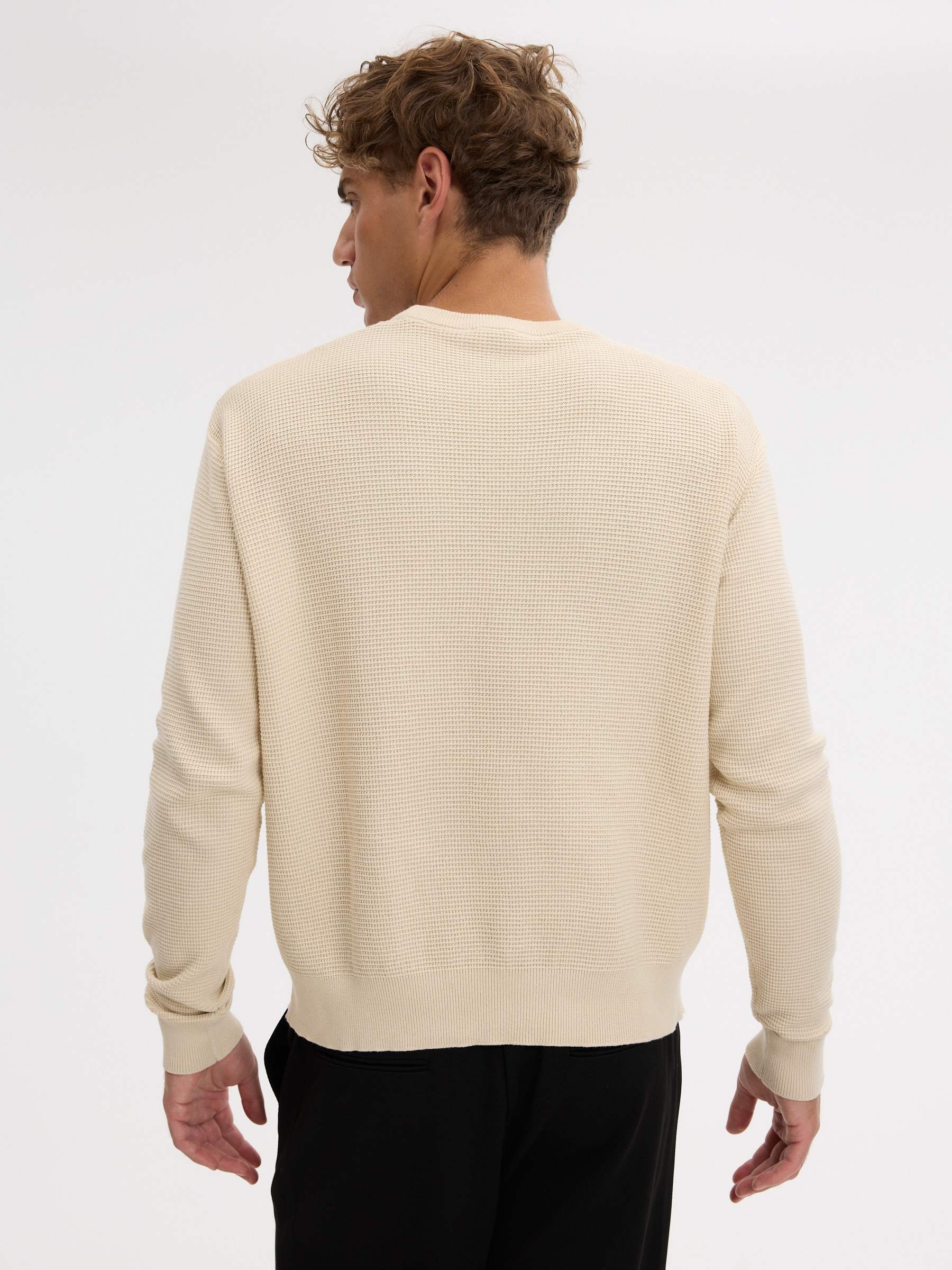Regular plain-knit crew-neck sweater raw middle front view