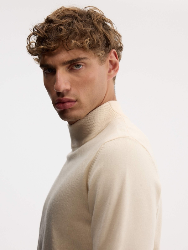 Basic regular turtleneck sweater raw detail view